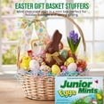 thumbnail image 6 of Junior Mints Egg-Shaped Dark Chocolate Candy 3.5 Oz Mini Theater Box 3 Pack, Creamy Mint Easter Candy, Egg Hunt Fillers, Party Favors, Gift Basket Stuffers, 6 of 7