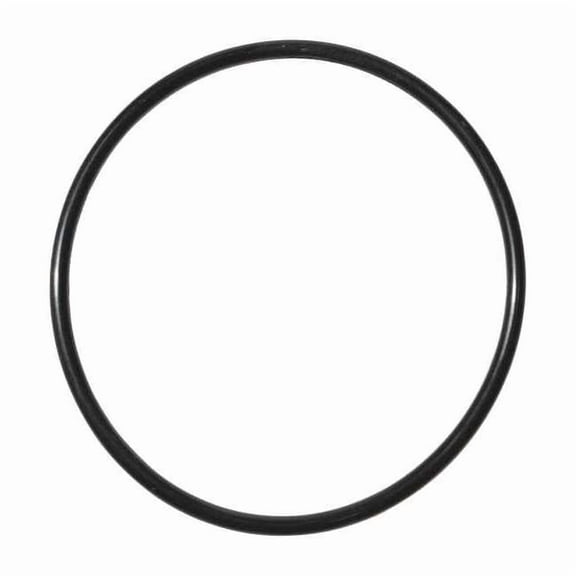 Dayton O-Ring, PP61003G PP61003G
