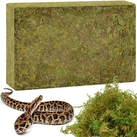 Halatool 8oz Natural Sphagnum Moss for Reptiles- 12QT Green Live Moss for Terrarium Plants Long Fiber Reptile Moss for Leopard Gecko Snake Hamsters Tortoises Frogs Lizards Salamanders