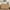 Natural Oak-7draws, variant on ARKANTOS Wooden 6 Drawer Double Dressers, Wide Chests of Drawers for Bedroom, Natural Oak