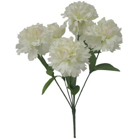 Carnation White Bush