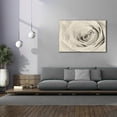 thumbnail image 4 of Epic Graffiti 'Cream Rose' by Lori Deiter, Canvas Wall Art, 60"x40", 4 of 8