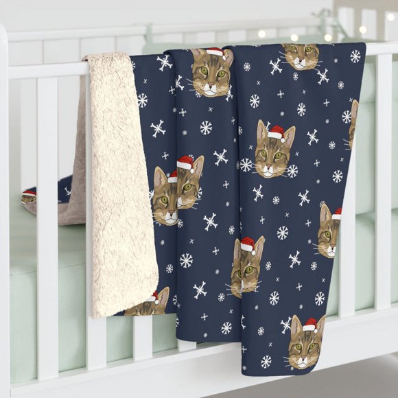 Winter DSH Tabby Cat Blanket | Sherpa Fleece