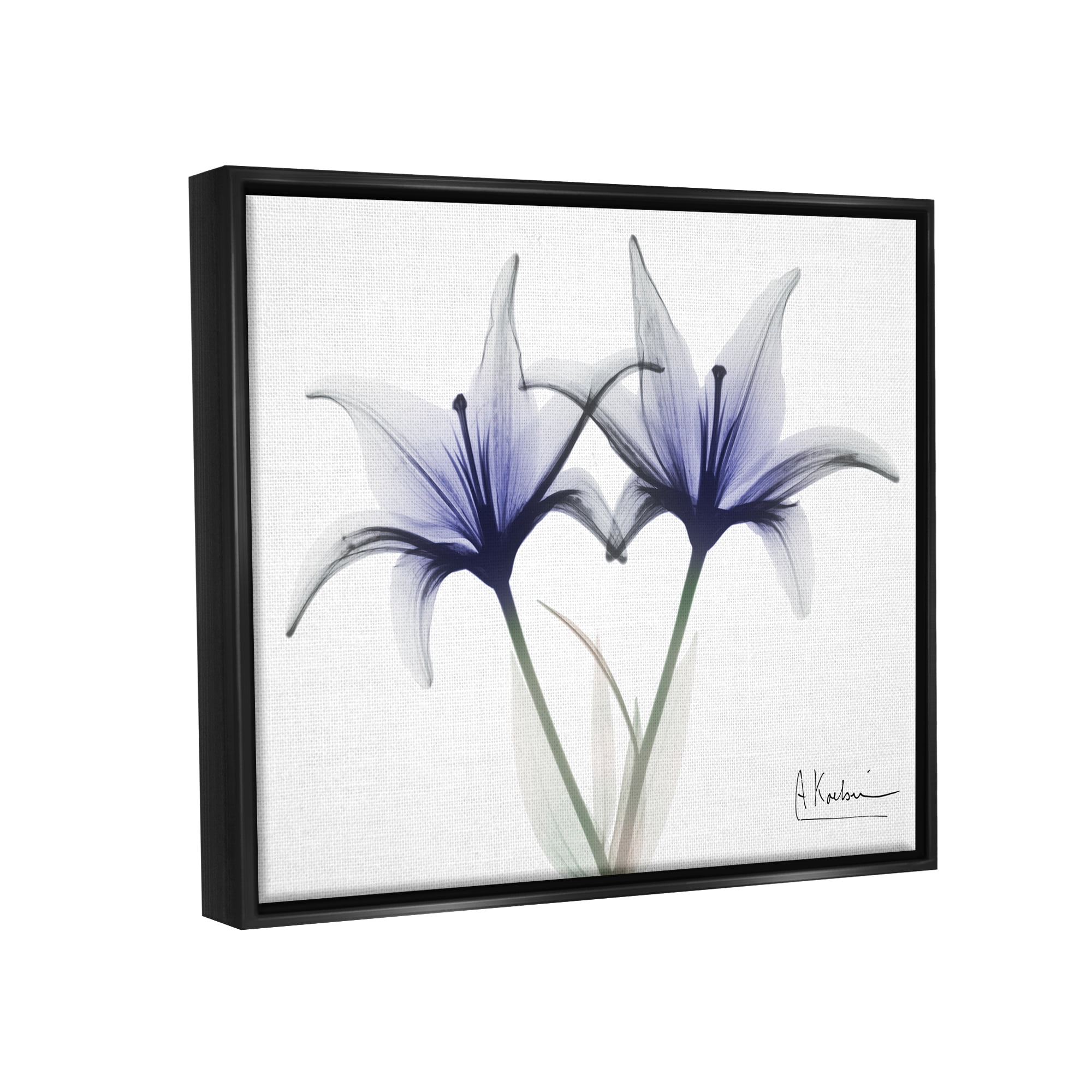 Stupell Industries X-Ray Lily Flowers Botanical & Floral Photography Black Floater Framed Art Print Wall Art, 31 x 25