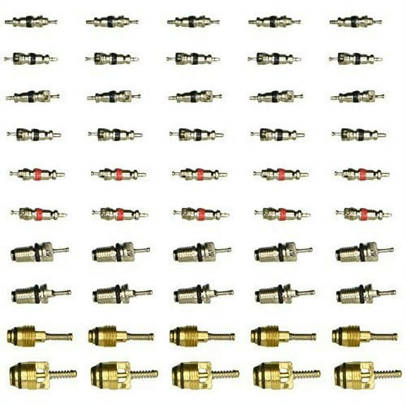 Four Seasons 59340 Service Port Valve Core Assortment