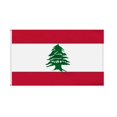 thumbnail image 4 of Lebanon Flag 5 Lebanese People Flag Protest Rally Support Lebanon New U3D8, 4 of 6