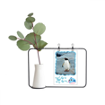 thumbnail image 1 of Jarrones Colgantes de Vidrio Transparente Unbranded Océano Antártico Pingüino Decoración Botella, 1 of 4