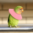 thumbnail image 4 of ELAYARD Parrot Collar Cone Soft Microfiber 1Pcs for Post-surgery Recovery, 4 of 6