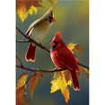 thumbnail image 1 of Custom Decor 4118FL 28 x 40 in. Fall Cardinal House Flag, 1 of 1