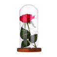 thumbnail image 1 of Rosa roja LED, cúpula de cristal de rosa roja, cúpula de cristal de regalo de cumpleaños de rosa roja, valor inmejorable, 1 of 8