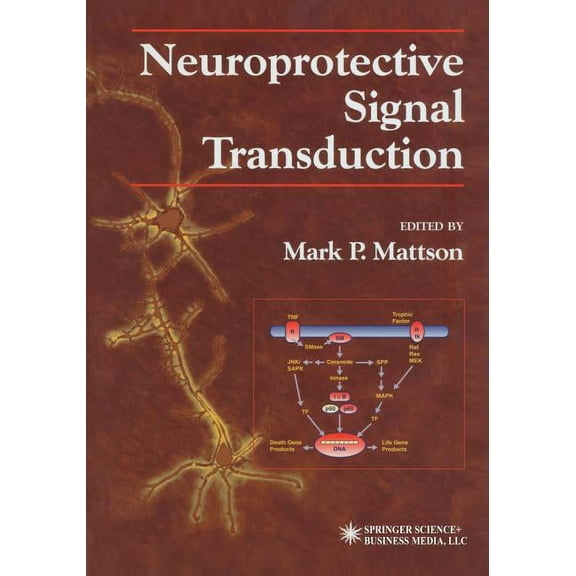 Contemporary Neuroscience Neuroprotective Signal Transduction, (Paperback)