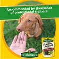 Cardinal Laboratories Pet Botanics Training Rewards Treats, Beef 20