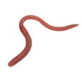 thumbnail image 5 of Realistic TPR Rubber Earthworm Toy 18cm Long Soft Plastic Simulation Worm For Pranks Fishing Or Educational Use, 5 of 5