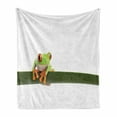 thumbnail image 1 of Animal Soft Flannel Fleece Blanket, Red Eyed Tree Frog Perches on a Long Slim Leaf Tropic Rainforest Animal Wild Life, Cozy Plush for Indoor and Outdoor Use, 70" x 90", Green White, by Ambesonne, 1 of 6