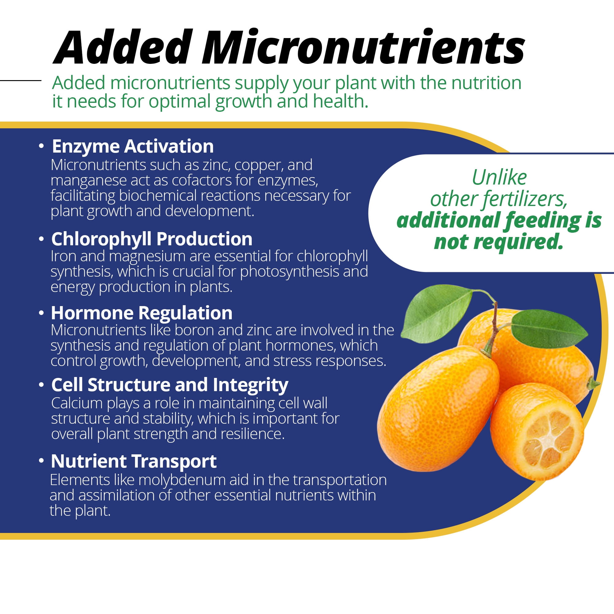 Jack's Classic 20-10-20 Citrus Food Water Soluble Fertilizer with Micronutrients to Provide Improved Growth and Fruiting in Tropical Plants, 1.5 Pounds