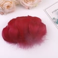 thumbnail image 1 of Hexang 100PCS Diy Big Floating Feathers Plumage Floating Hair Craft Decoration Wedding Plumage, 1 of 2
