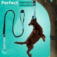 thumbnail image 2 of Outdoor Bungee Tug dog Toy, Hanging Tree Tug Toy for tree stump, Interactive Exercise Play Cord & Tether with Chew Rope Toy, 2 of 8