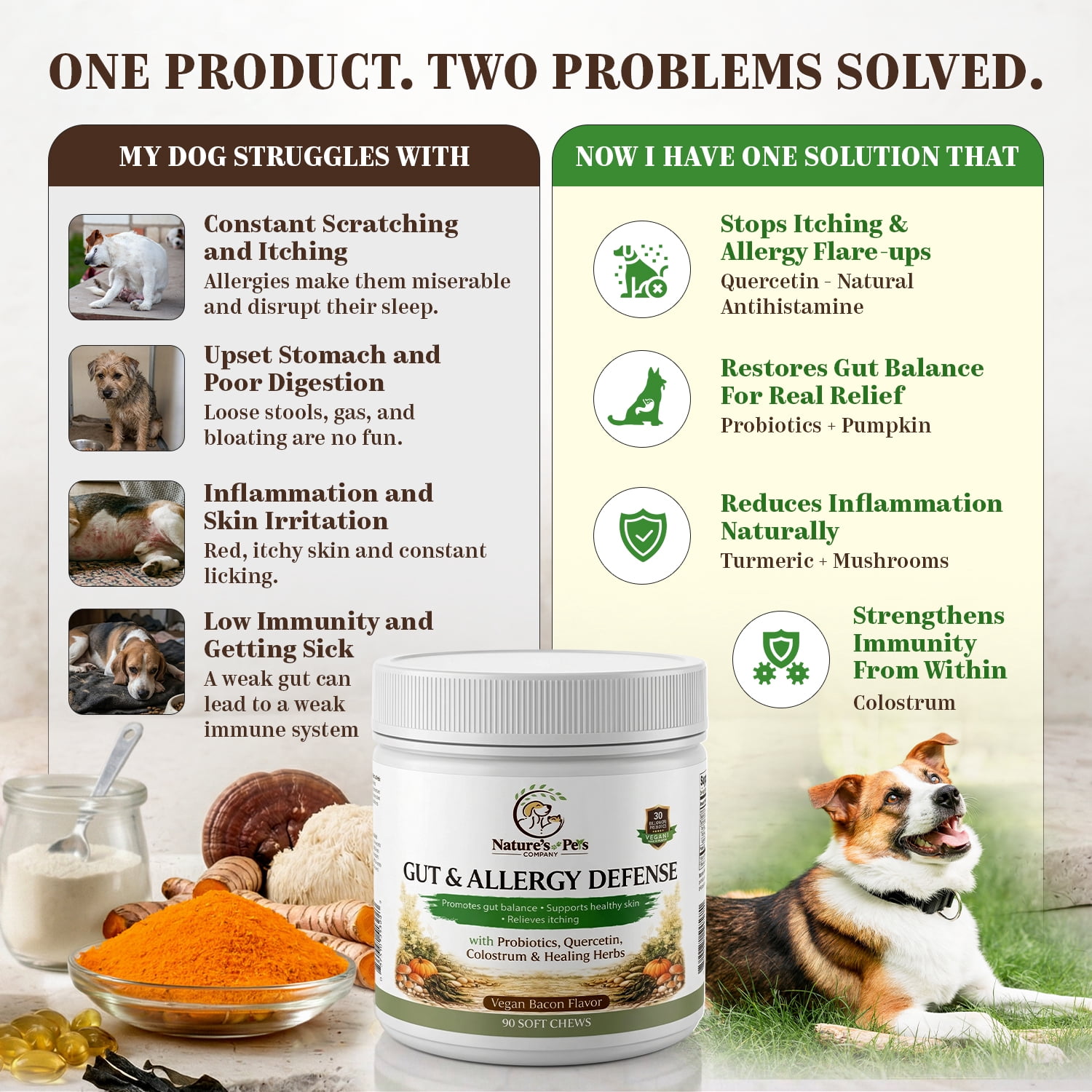 Gut & Allergy Defense Dog Chews, 30B CFU Probiotics +QUERCETIN, SPIRULINA, COLOSTRUM, Medicinal MUSHROOMS, Pumpkin, Turmeric  90 chews, Vegan Bacon Flavor