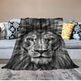 thumbnail image 2 of ARISTURING  Lion Blanket Comfort Warmth Blanket for Couch Bed Chair Office Sofa, 2 of 6