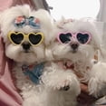 thumbnail image 4 of WINDLAND Pet Glasses Pet Photos Tools Accessories Headwear Pet Toy Funny Cat Sunglasses, 4 of 21