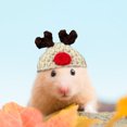 thumbnail image 4 of Mini gorro tejido a mano para animales pequeños. Adorable gorro de hámster tejido con correa ajustable. Ranas, conejitos, arcoíris y zanahorias. Mini gorros tejidos a mano. Mini gorro., 4 of 5