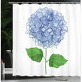 thumbnail image 3 of Ambesonne Hydrangea Shower Curtain, Simple Flower Blooms, 69"Wx75"L, Ceil Blue Fern Green, 3 of 4