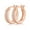 Rose, variant on Rose/Gold Moissanite Diamond Hoop Earrings for Women 0.24cttw D Color VVS1 Clarity 925 Sterling Silver Diamond Earrings Hoops Round Cut Bridal Earrings for Wedding Men Moissanite Hoop Earring