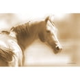 thumbnail image 3 of Brooks, Kari 24x17 Black Modern Framed Museum Art Print Titled - Rose I Sepia, 3 of 5
