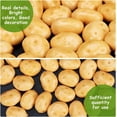 thumbnail image 5 of Mini Foam Imitation Potatoes for Dollhouse Accessories Pretending Prop Decorations Gold 33x26x20mm 10pcs/bag, 5 of 6