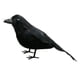 thumbnail image 3 of Cuervos pequeños con plumas negras para Halloween: decoración de cuervos y pájaros negros 16cm, 3 of 9