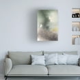thumbnail image 2 of Canvas Wall Art - Vanna Lam 'Sorus II' Wall Art for Living Room, Bedroom, or Office Décor by Trademark Fine Art - 22 x 32 Inches, 2 of 4