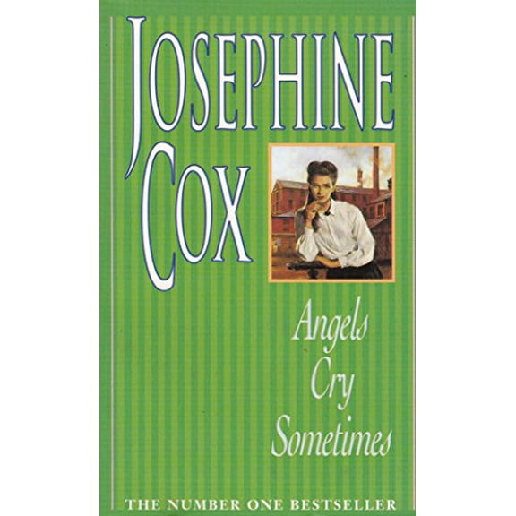 Pre-Owned Angels Cry Sometimes (Paperback) 0747240795 9780747240792