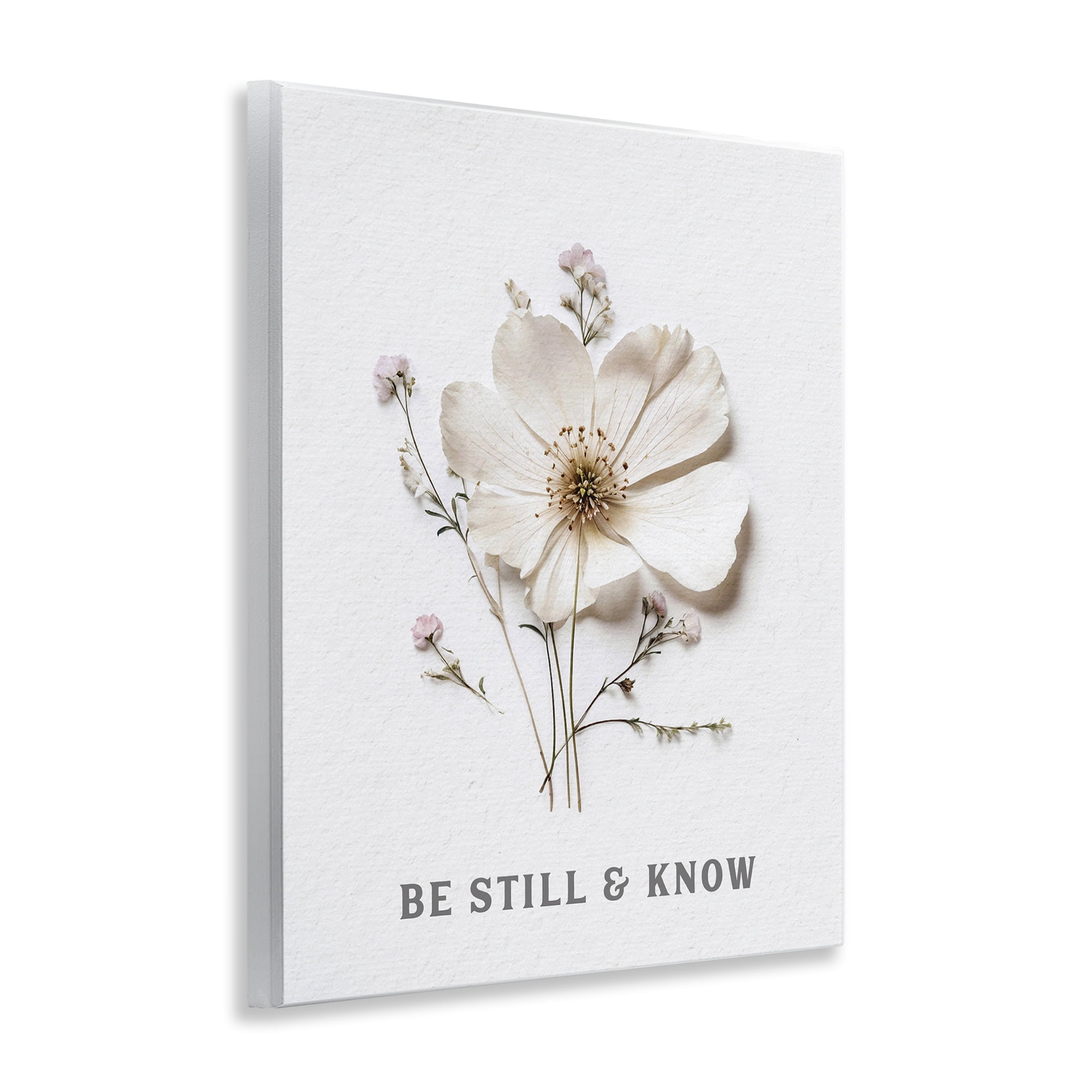 Be Still & Know Pressed Flowers Wall Plaque Art, design by Lettered and Lined