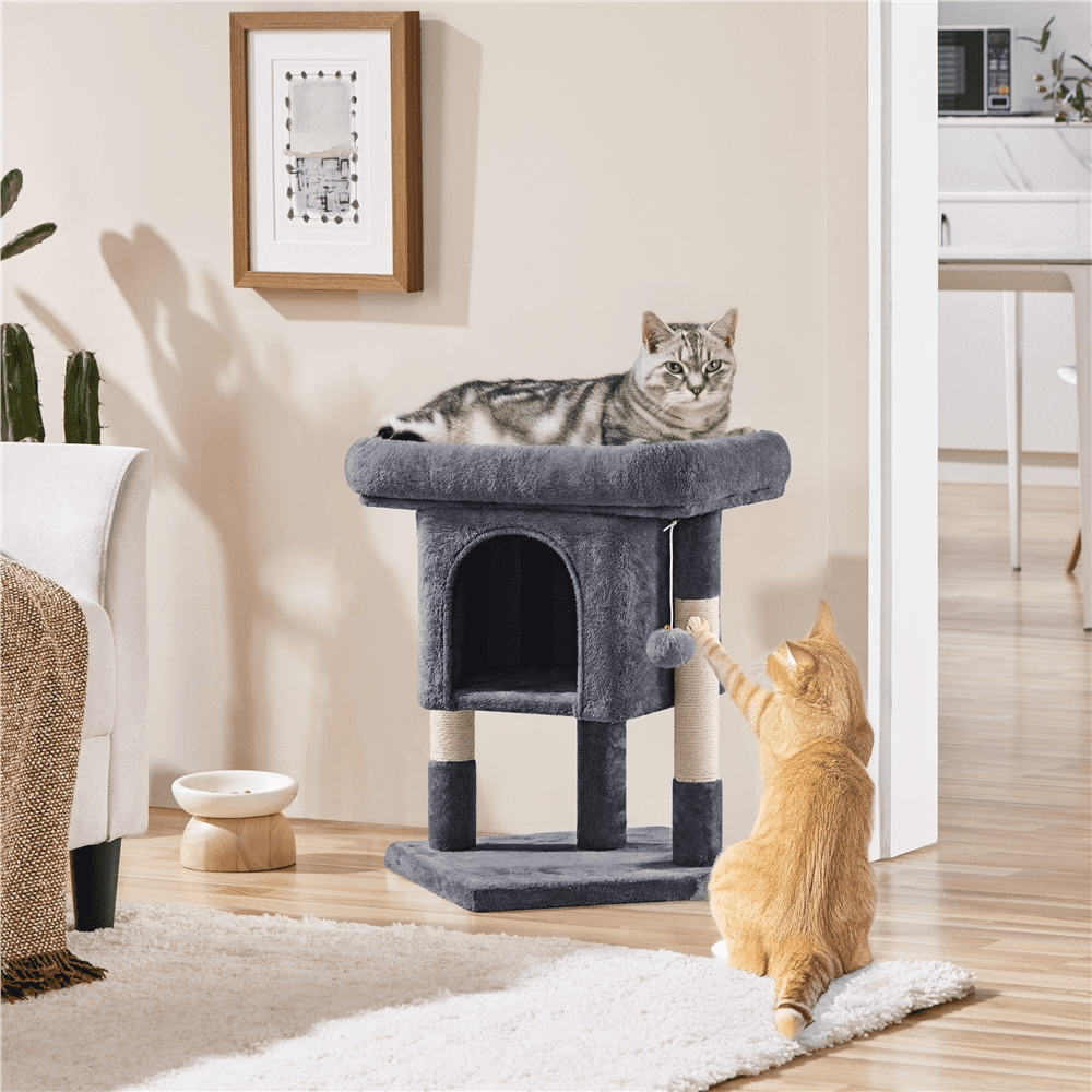 Alden Design 23.5" Tall Cat Tree Condo with Wide Perch and Scratch Posts, Dark Gray