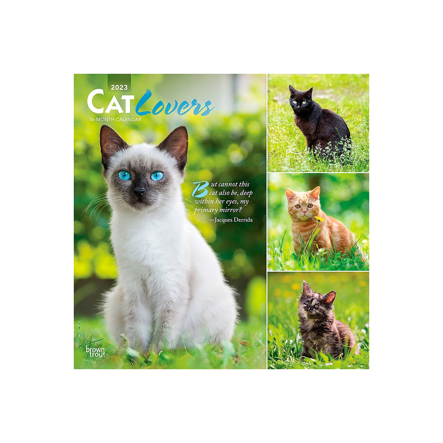 2023 BrownTrout Cat Lovers 12'' x 12'' Monthly Wall Calendar (9781975448943)