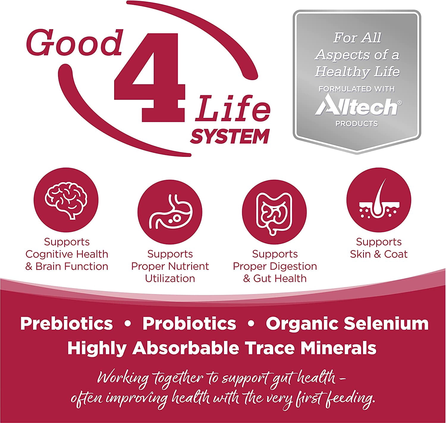 NutriSource Grain Free For All Life Stages Seafood Select Recipe Dog Food 26 lb