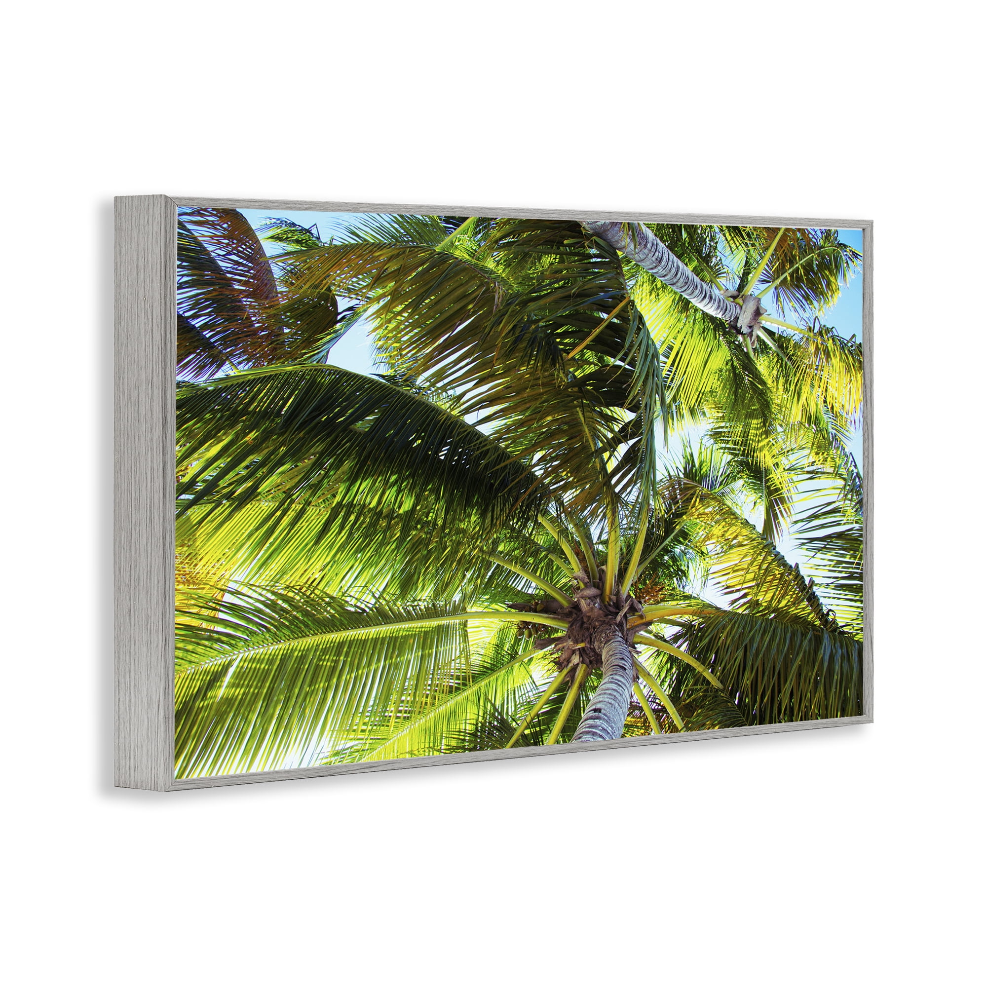 Stupell Industries Swaying Palm Leaves Botanical & Floral Photography Gray Framed Art Print Wall Art, 24 x 16