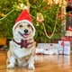 thumbnail image 5 of Collar de perro navideño, adorable collar para cachorros, perros, gatos, mascotas, 5 of 5