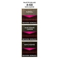 thumbnail image 4 of Palette Deluxe Hair Dye 4-68 Dark Chestnut, 4 of 8