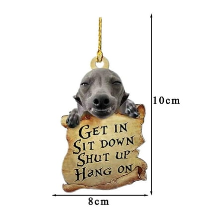 

WANSPRINE Deals of the Week Claw Drywall Picture Hanger Animal Lover Two Sided Ornament Funny Car Hanging