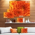 thumbnail image 2 of Designart - Large Orange Flower and Petals - Floral Canvas Art Print, 2 of 2