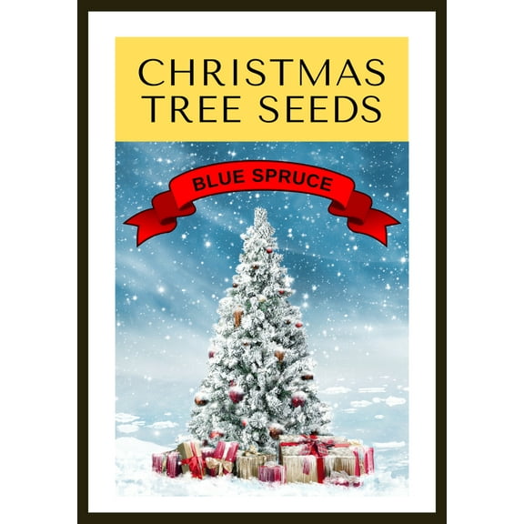 Grow Your Own CHRISTMAS TREE - Colorado Blue Spruce ( Picea Pungens Glauca ) Gift Packet of Tree Seeds .