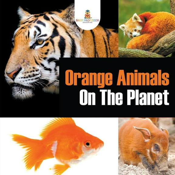 Orange Animals On The Planet (Paperback)