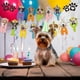 thumbnail image 4 of Billuyoard Juego de 1 Uds. De tarjeta de papel de arcoíris de 16,4 pies, cartel de feliz cumpleaños, adorno de pastel de papel de arcoíris de 7 Kits de decoración para fiestas Arcoíris 7 pulgadas, 4 of 6