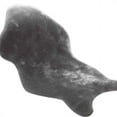 thumbnail image 2 of PENGXIANG Fluffy Fur Soft Faux Imitation Sheepskin Chair Cover Pad Home Room Rug UK, 2 of 9
