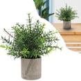thumbnail image 2 of Spring Fake Plants, Artificial Tropical Small Pot Green Plants Indoor Office Table Kitchen Bathroom Home Decor, Semi Spherical Pulp Bonsai for Farmhouse Office Tabletop Decor, 1Pc(Green5,3x3x9.8"), 2 of 8