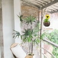 thumbnail image 2 of Natural Planter Indoor Planter Outdoor Garden Hanging Plant Pot Balcony Hanging Flower Pot, 2 of 6