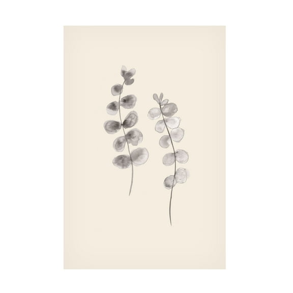 Canvas Wall Art - Pictufy Studio 'Eucalyptus Twigs' Wall Art for Living Room, Bedroom, or Office Décor by Trademark Fine Art - 12 x 19 Inches