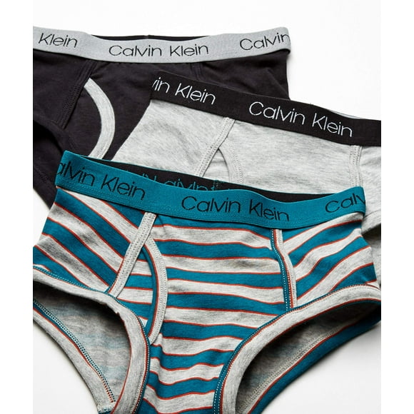 Calvin Klein Boys' Kids Modern Cotton Assorted Briefs Underwear, Multipack