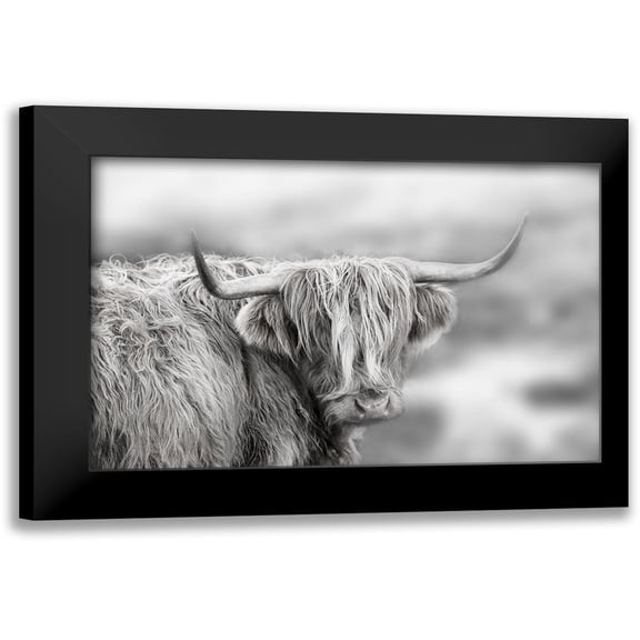 Delimont, Danita 14x11 Black Modern Framed Museum Art Print Titled - Roaming Isle of Skye